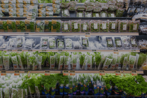 tampa microgreens grocery store