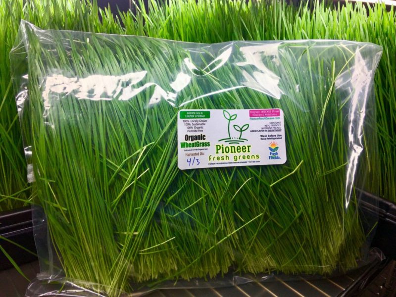 Tarpon Springs organic wheat grass delivered